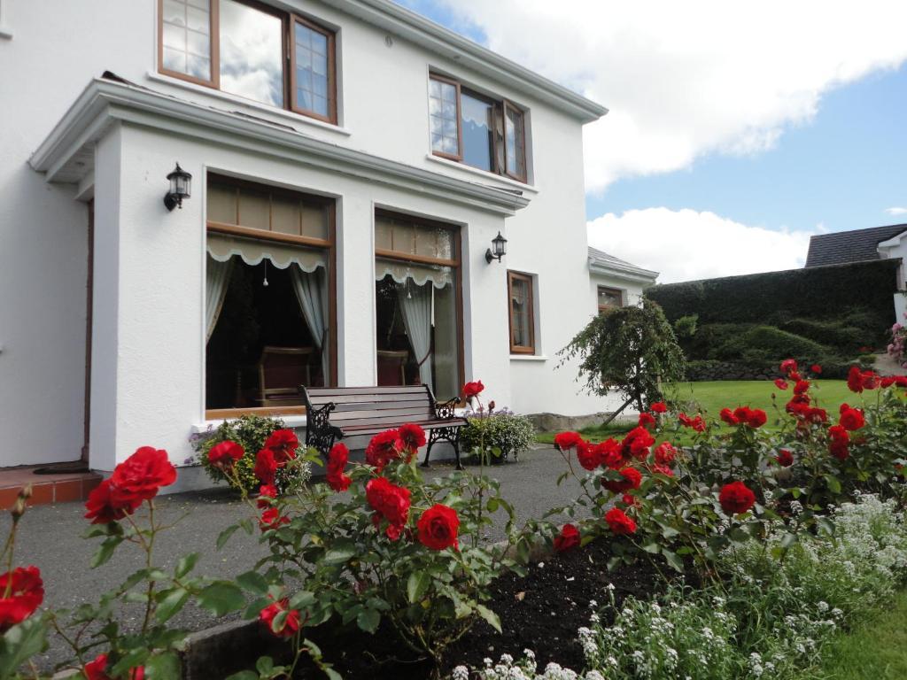 Millhouse B&B Ballymote Exterior photo