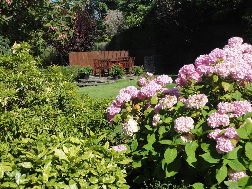 Millhouse B&B Ballymote Exterior photo